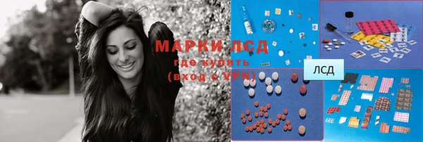 ПСИЛОЦИБИНОВЫЕ ГРИБЫ Зеленодольск