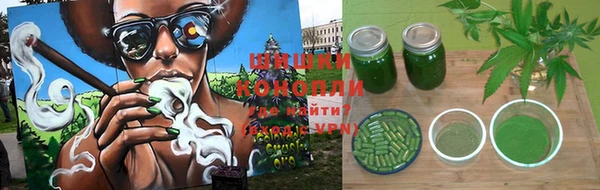 ПСИЛОЦИБИНОВЫЕ ГРИБЫ Зеленодольск