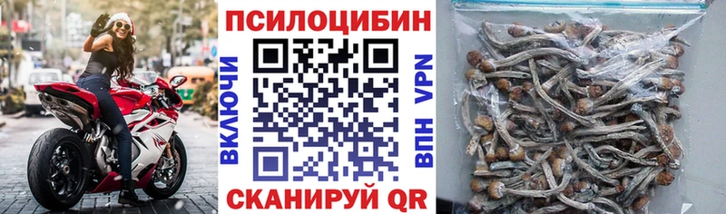 Галлюциногенные грибы мухоморы  Купить  Красный Кут 